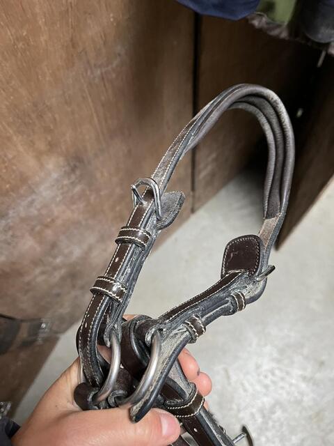 Collier de chasse jumpin