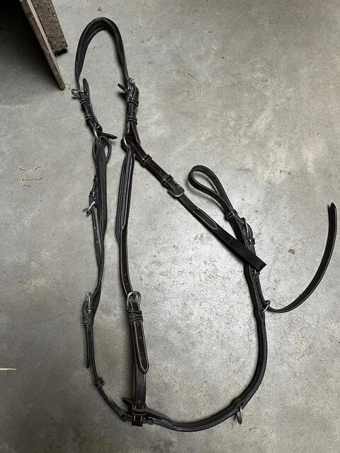 Collier de chasse jumpin