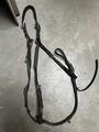 Collier de chasse jumpin