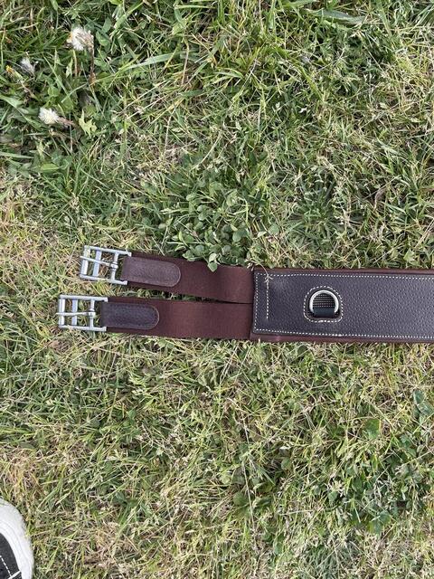 sangle bavette Arion neuve taille 135
