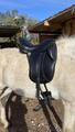 Selle de dressage Jean-Luc Maurel