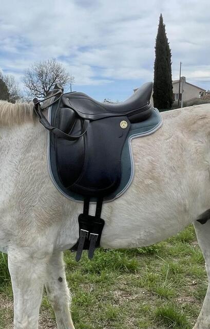Selle de dressage Jean-Luc Maurel