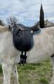 Selle de dressage Jean-Luc Maurel