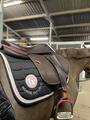 Selle Forestier Séoul 2023 neuve