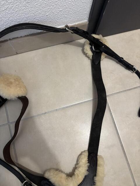 Bridon/ Filet Claridge House + rênes Pénélope + Collier de Chasse