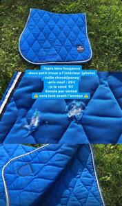 tapis fouganza bleue