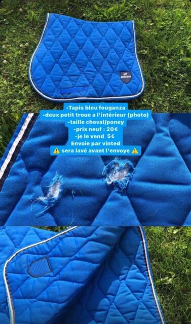 tapis fouganza bleue