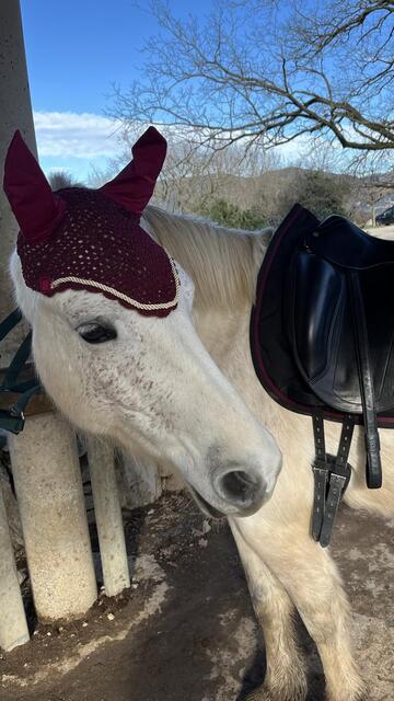 Bonnet bordeaux