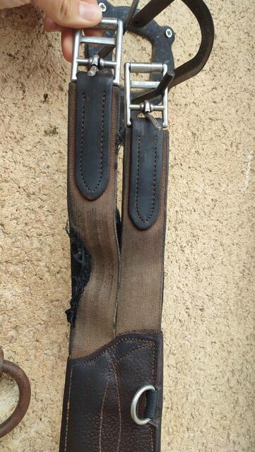Sangle bavette CWD 135