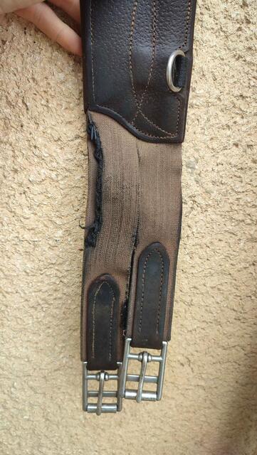 Sangle bavette CWD 135