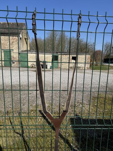 Collier de chasse