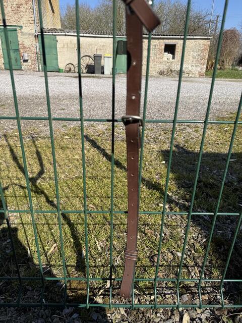 Collier de chasse