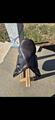 selle forestier prem's 17"