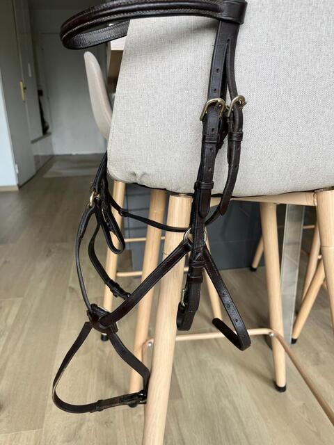 Bridon LJ