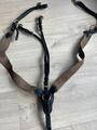 Collier de chasse et martingale