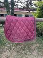 tapis bordeaux a strass fouganza cheval mixte