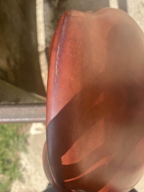 selle se02 CWD