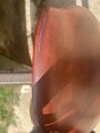 selle se02 CWD