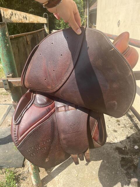 selle se02 CWD