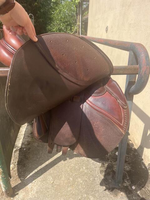 selle se02 CWD