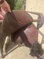 selle se02 CWD