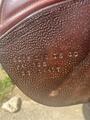 selle se02 CWD
