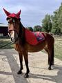 Tapis CSO rouge pailleté