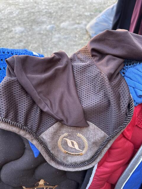 bonnet back on track