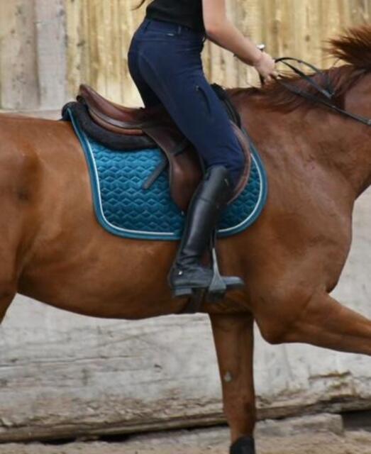Tapis Kentucky Horsewear Velvet- Emeraude