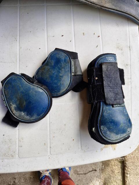 Guêtre Impérial Riding Bleu Taille cheval