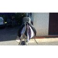 Selle de dressage B Pineau