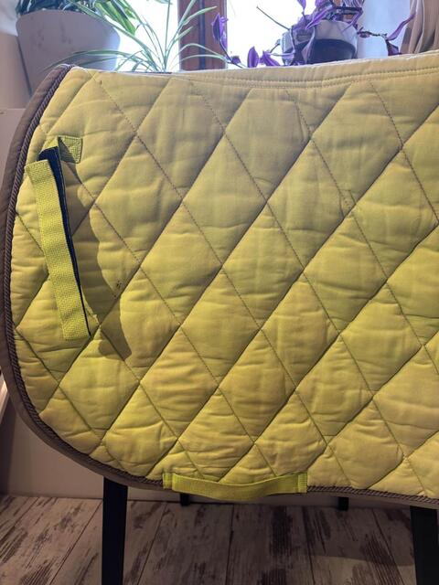 tapis vert