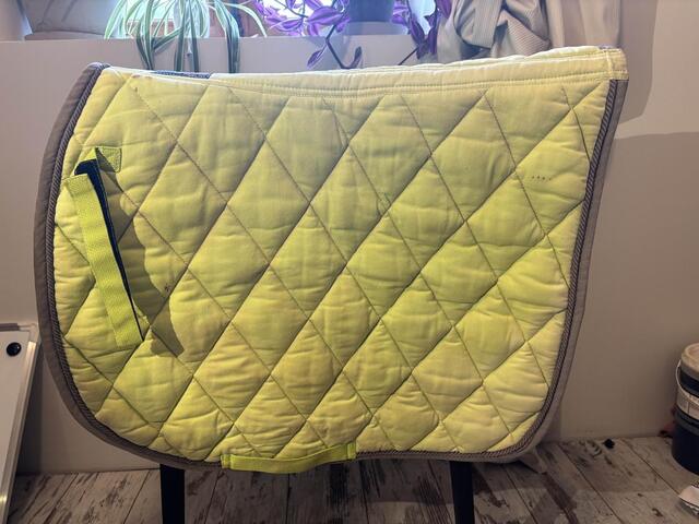 tapis vert