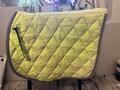 tapis vert