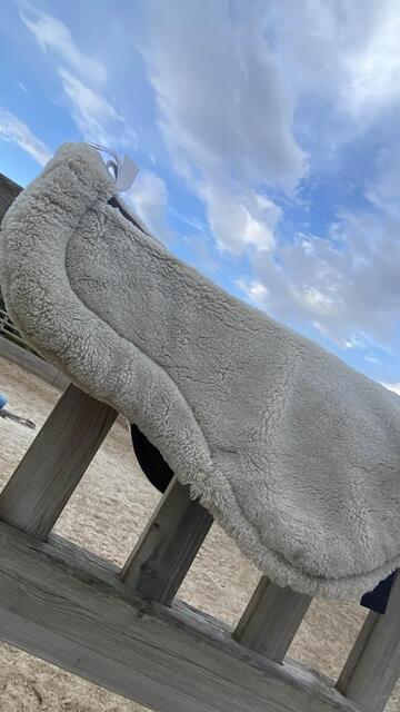 Amortisseur mouton