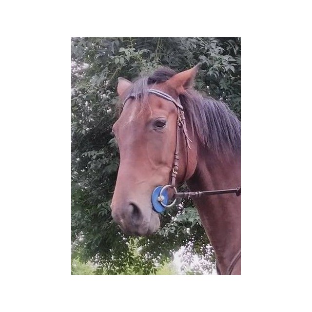 Rondelle BLeu Marine