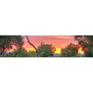 Frontal tressé rose