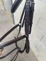 Bridon muserolle croisée CWD taille 3-cheval