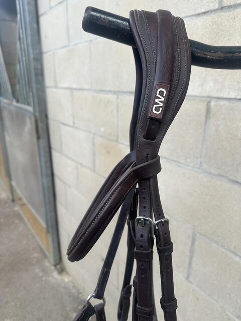 Bridon muserolle croisée CWD taille 3-cheval