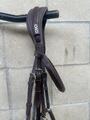 Bridon muserolle croisée CWD taille 3-cheval