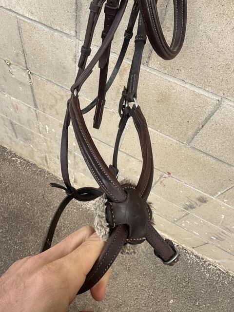 Bridon muserolle croisée CWD taille 3-cheval