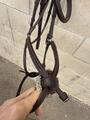 Bridon muserolle croisée CWD taille 3-cheval