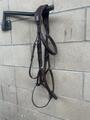 Bridon muserolle croisée CWD taille 3-cheval