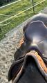 Selle cwd