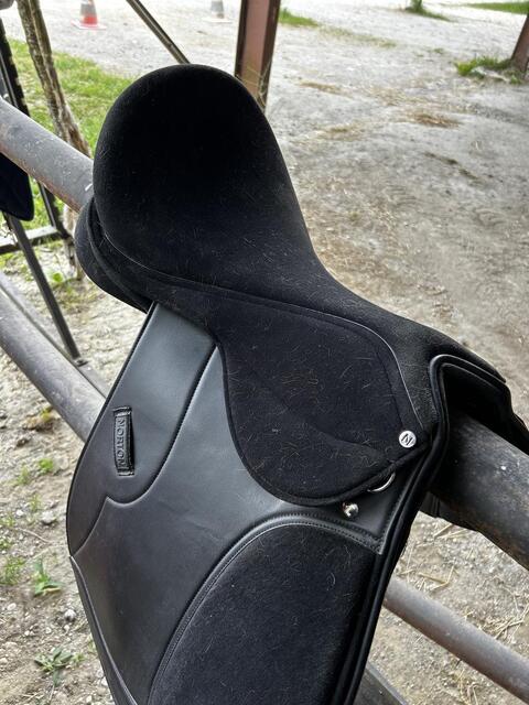 Selle Norton