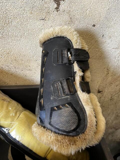protection back on track