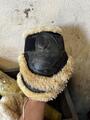protection back on track
