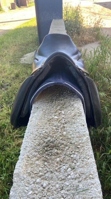 Selle terry’s