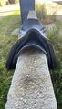 Selle terry’s