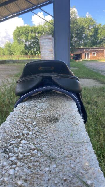Selle terry’s